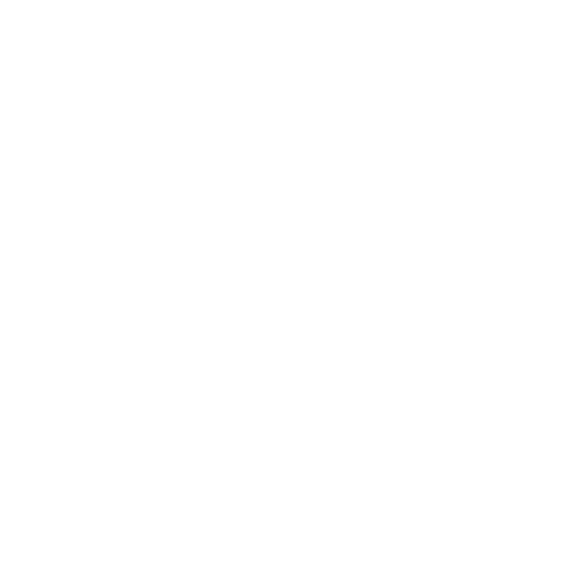 Vélos Électriques